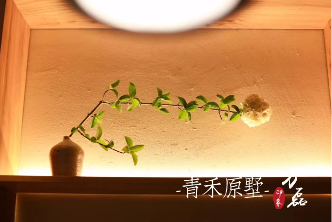 万磊印象 | 赋予浙江青禾原墅VillablueTree本色气息